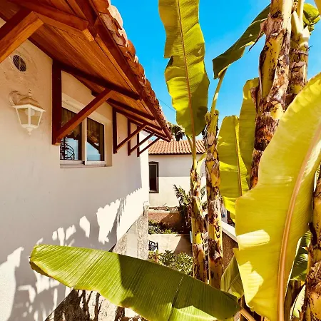 Madeira The Valley's House *